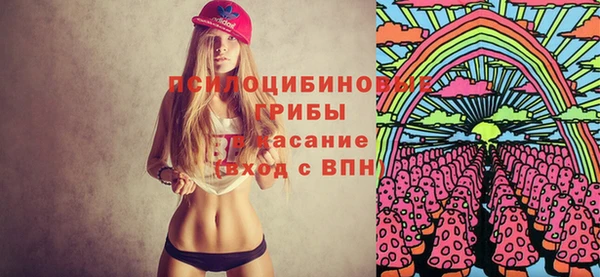 сатива Алексеевка