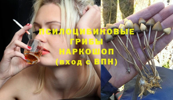 сатива Алексеевка