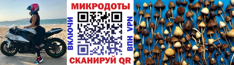 Галлюциногенные грибы мицелий  Махачкала 
